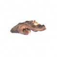 Pansen ungewaschen ca 500g Tk